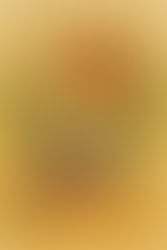                                          ליווי רציף בלידה