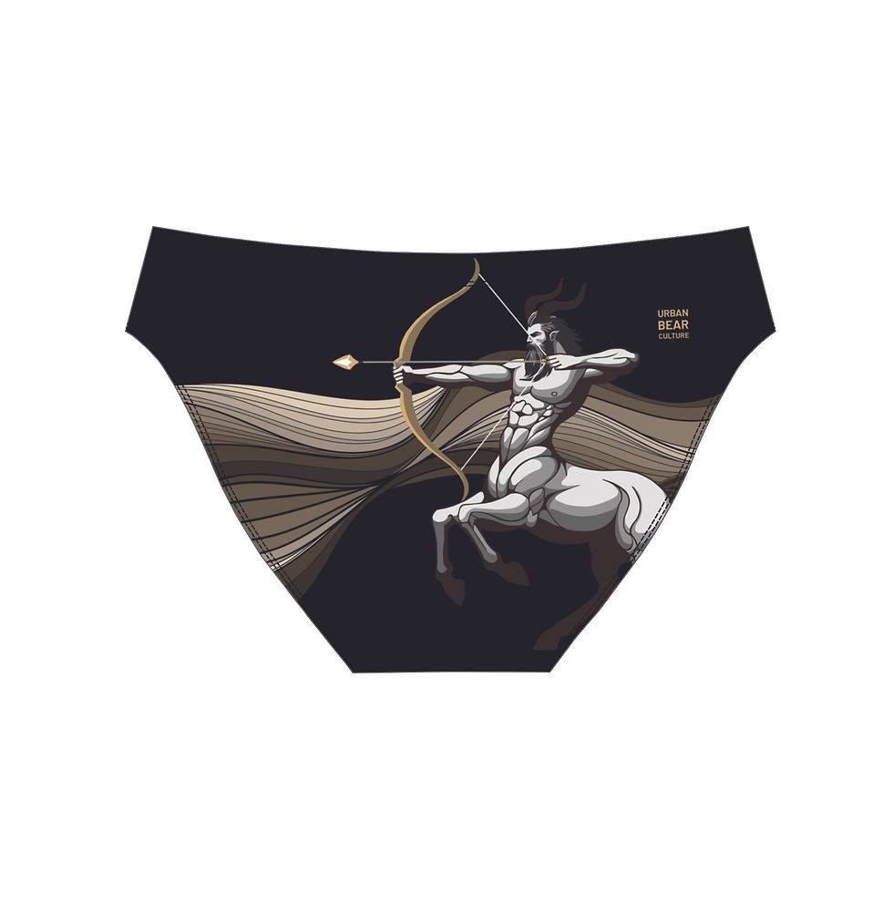 Thumbnail: Sagittarius : Swim Briefs - Black
