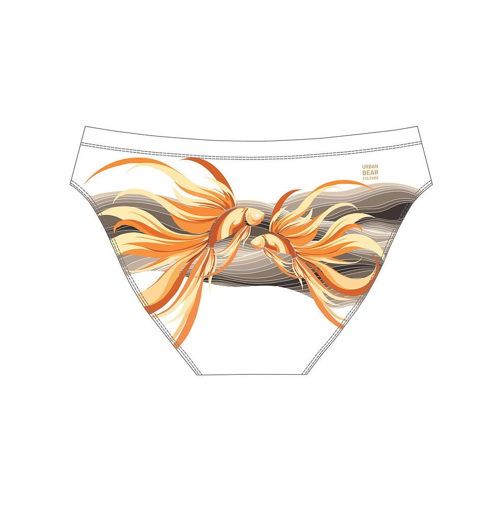 Thumbnail: Pisces II : Swim Briefs - White