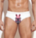 Thumbnail: Pig 3.3 : Swim Briefs (2 color choices, S-3XL)
