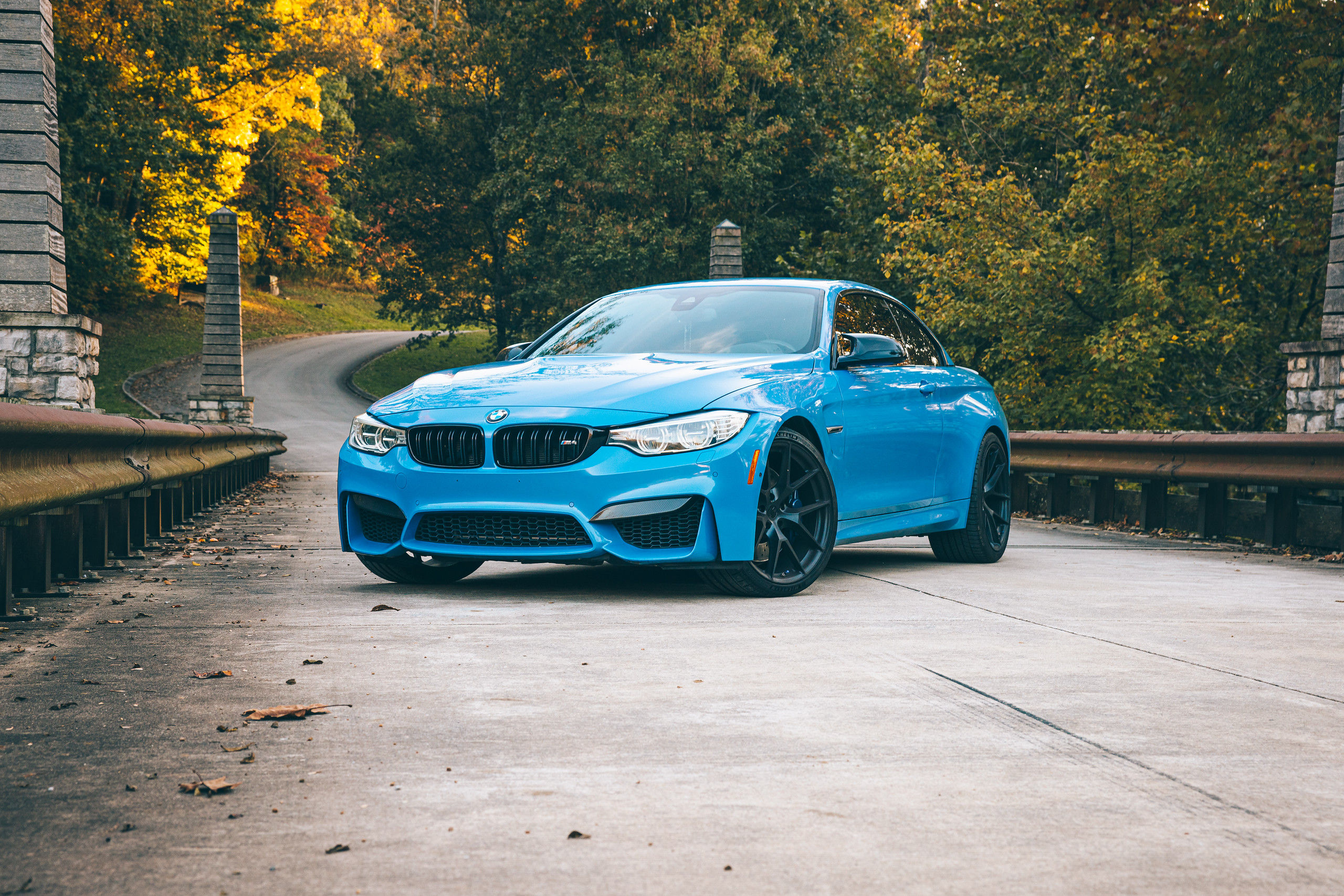 SeaShade Family Bundle (16 Sheets)