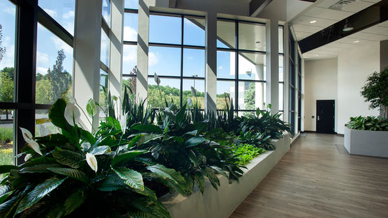 Kahn Lobby. Interior design. Live wall. Planters. Ceiling Structure. Interior renovation. Commercial.
