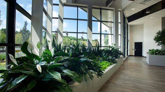 Kahn Lobby. Interior design.  Live wall. Planters. Ceiling Structure. Interior renovation. Commercial. 