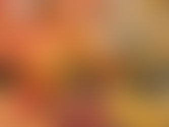 Autumn Foliage in Kyoto