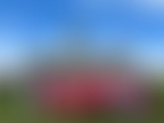 June 23, 2023
国会请愿 Joining Petition e-4395 initiative in Ottawa