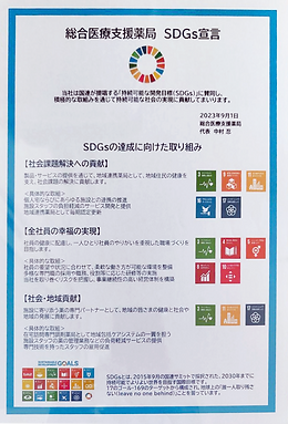 sdg_sougouiryou.png