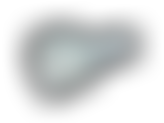 Regio Mangueras y Tubos - Mangueras Metálicas Flexibles