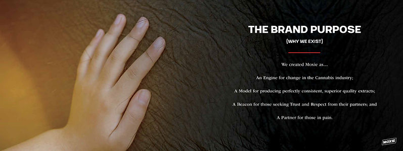 moxie-brand-book3.jpg