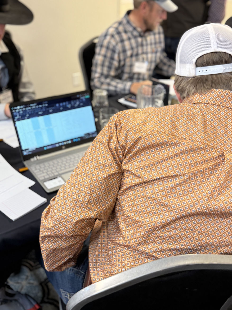 Inside the Simulation