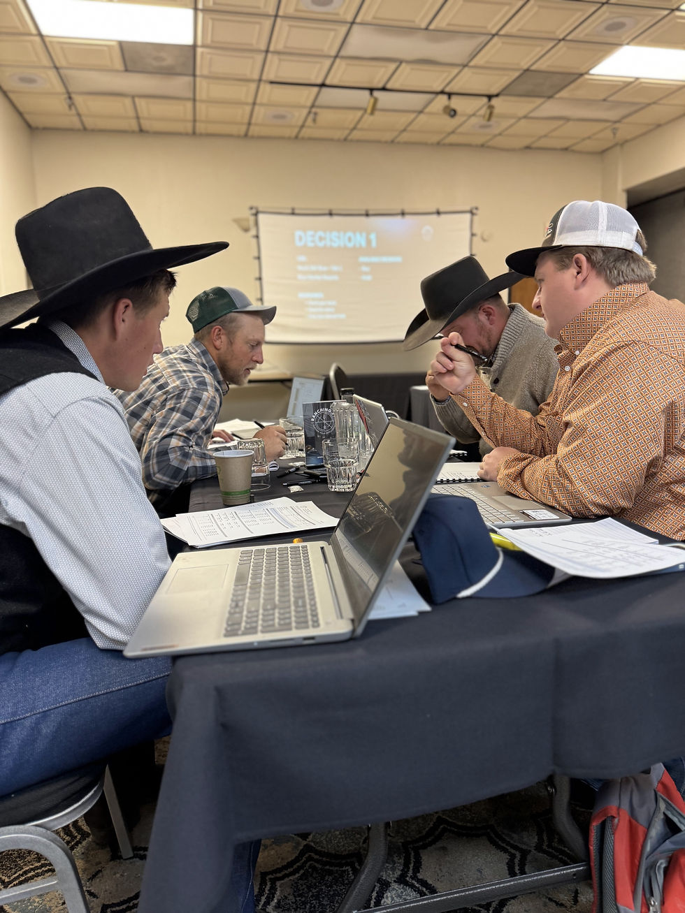 Inside the Simulation: What Ranchers Are Learning