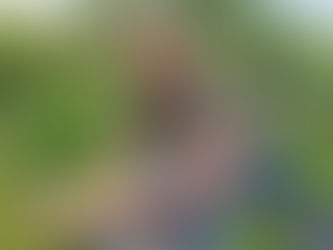 Welcoming Steve Pearson