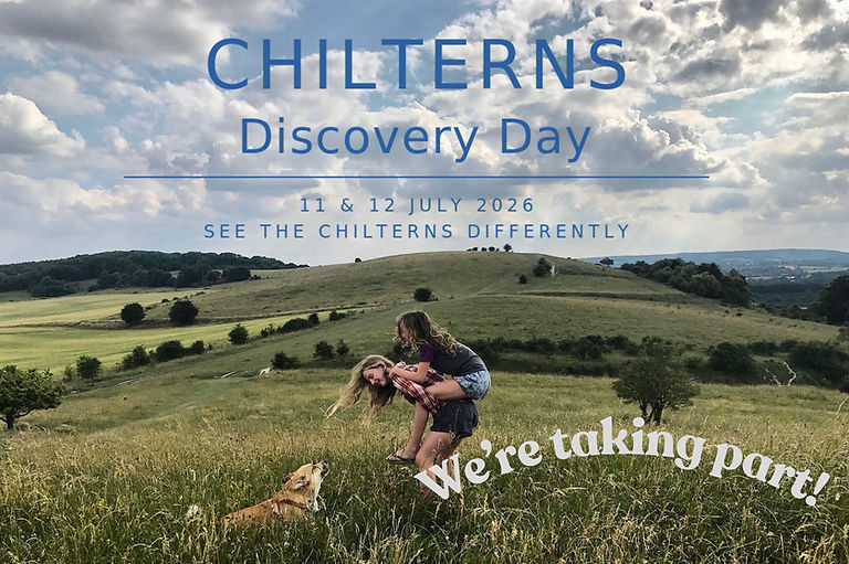 Two visitors play with a corgi on Pitstone Hill
