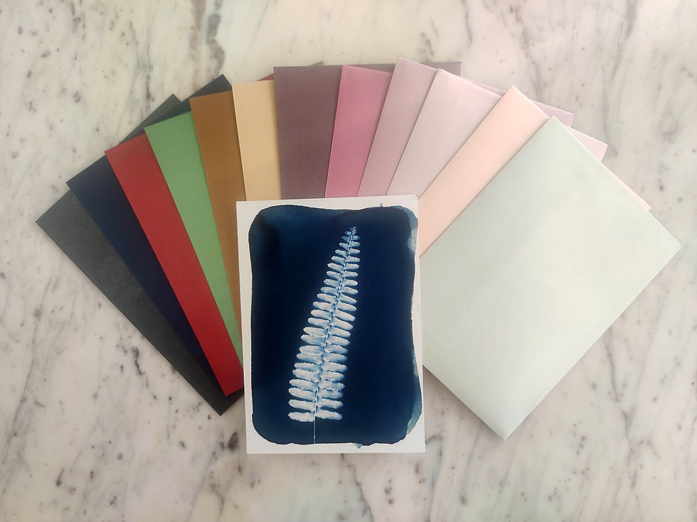 Thumbnail: DIY Cyanotype Greeting Card Kit