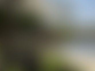 איך להכניס wellnes לשגרת הארגון בשלושה צעדים פשוטים