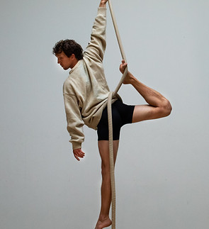 Silky Sequencing.jpg