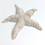 Thumbnail: Sugar pointy starfish