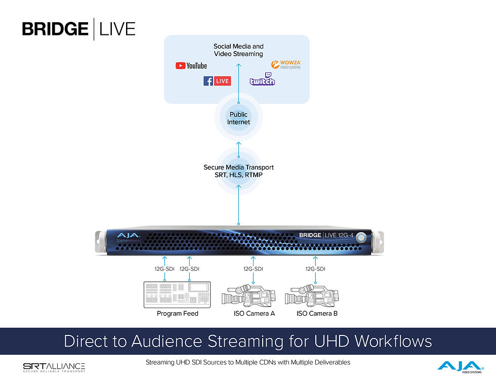 縮圖：AJA BRIDGE LIVE 12G-4 全方位 SDI/IP 多路影音橋接器