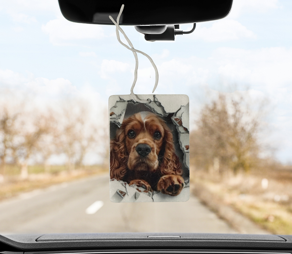 Thumbnail: 100% Reusable Air Fresheners Singles