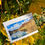Miniaturbild: Postkarte Herbst vom Türlersee