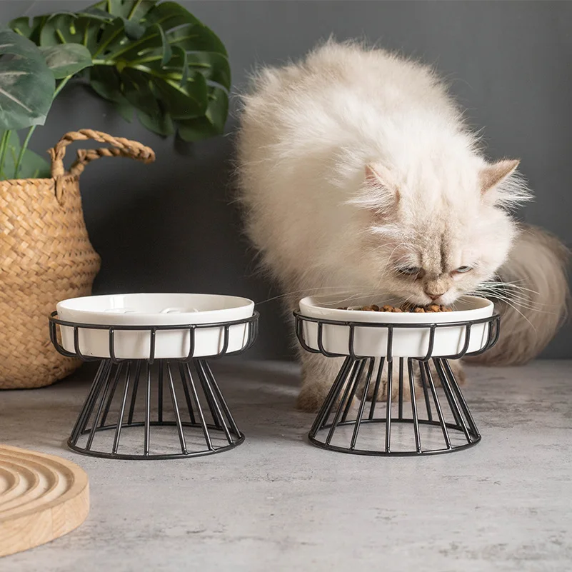 Miniatura: Tigela elevada de cerâmica para cães e gatos