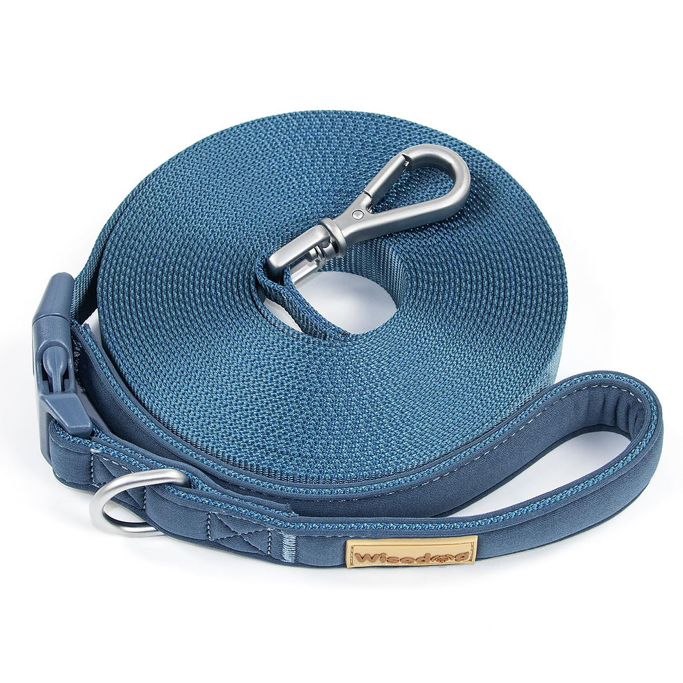 Miniatura: 3M 5M 10M 15M Hands Free Long Dog Leash leash Padded Adjustable Walking Running 