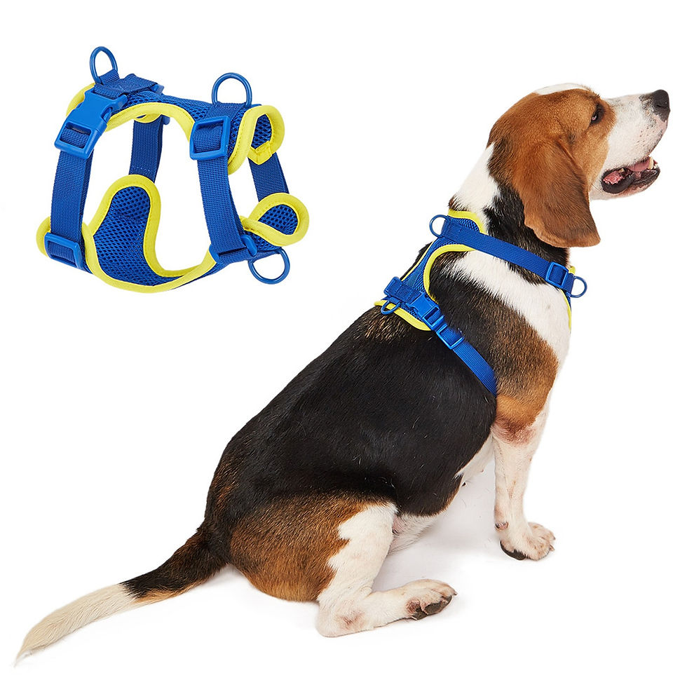 Miniatura: New Adjustable Mesh Dog Harness Pet Vest Comfort Anti-Pull Escape Prevention Eas