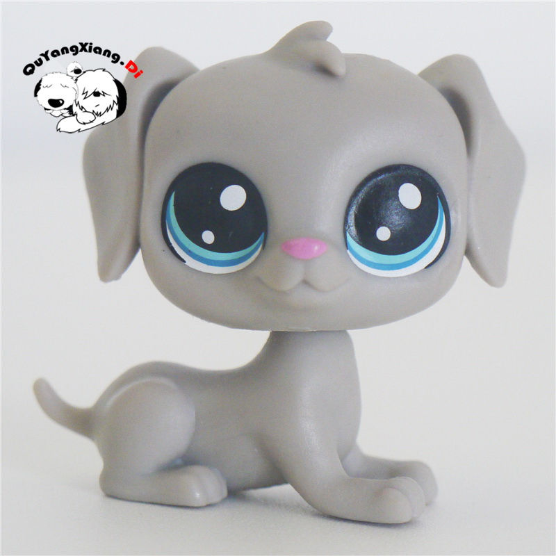 Miniatura: CWG Pet Shop Animal Boneco de ação Anime Brinquedos para crianças