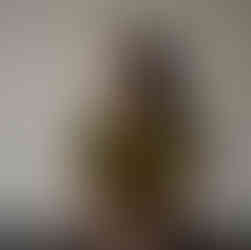 woman wearing kio yamato KP-261U