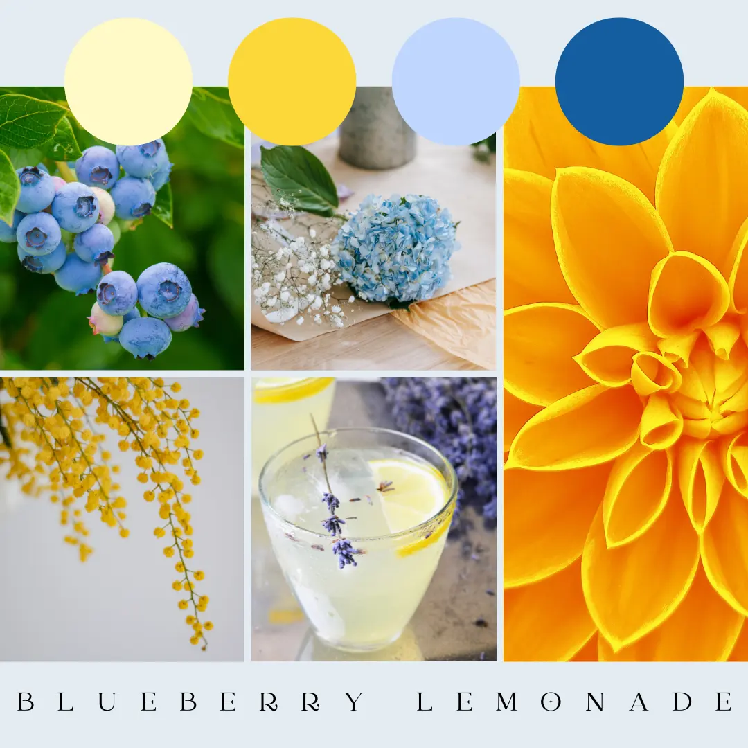 Blueberry Lemonade