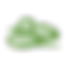 Pointed Gourd