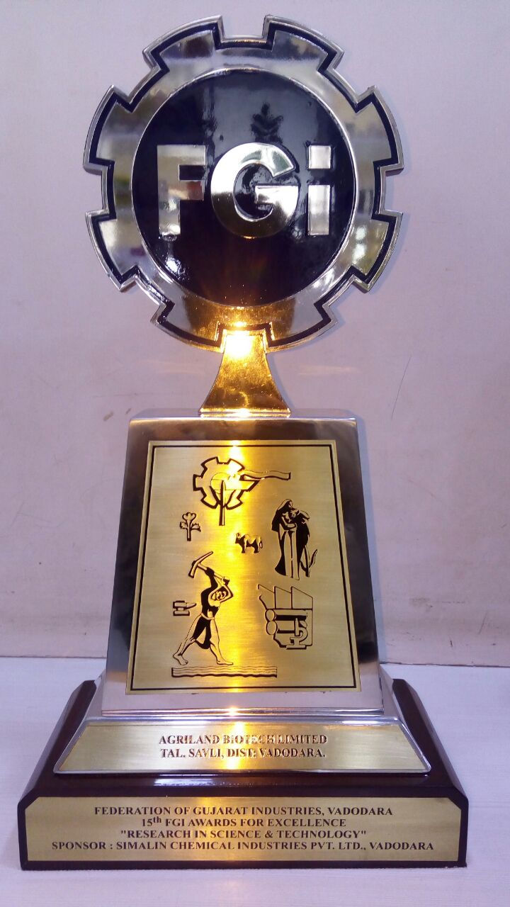 FGI Best Innvoation Award