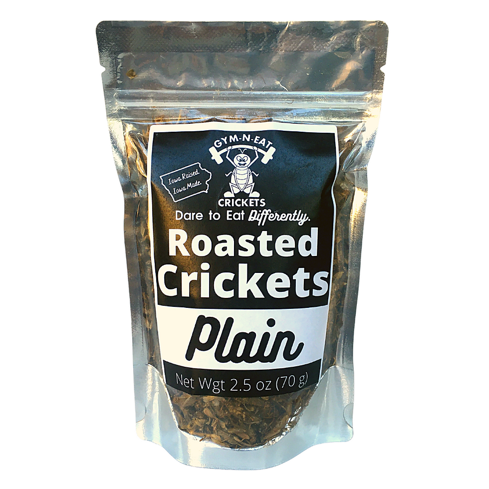 Dry Roasted Crickets Gymneatcrickets