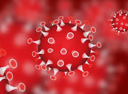Coronovirus: What You Need to Know