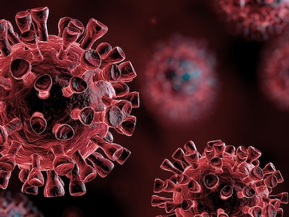 Coronavirus: Preguntas Frecuentes y Recursos