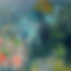 Midnight Bloom 3.jpg