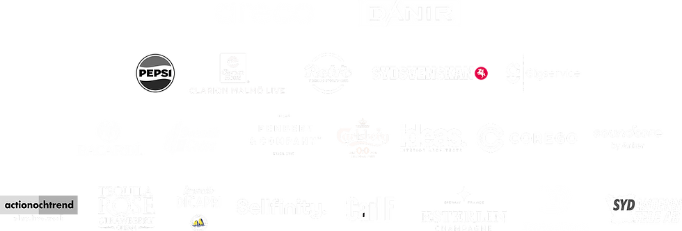partners south ocean 2025 areco danir pepsi clarion malmö live retro fm sydsvenskan bacardi svensk cater daniel pambert carlsberg ideas gigservice soundcore action och trend tequila rose limoncello sellfinity carl f esterlin detertech corego sydantenn