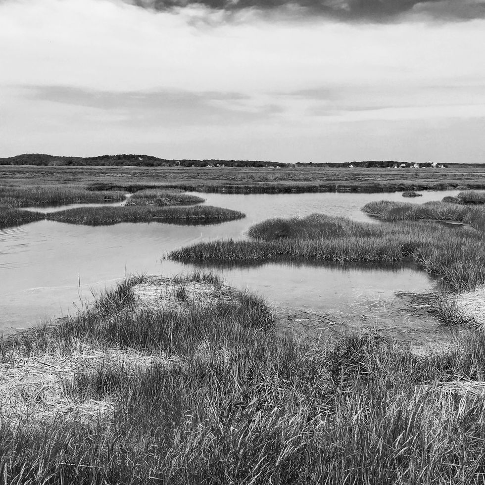 Plum Island, MA