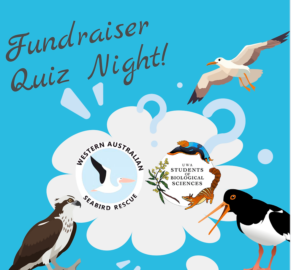 Fundraiser Quiz for WA Seabird Recue