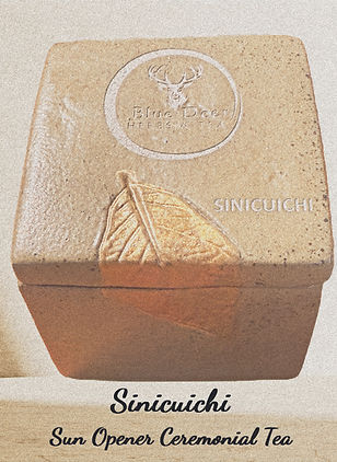 Sinicuichi cermeonial tea in its unique stone and clay tea caddy