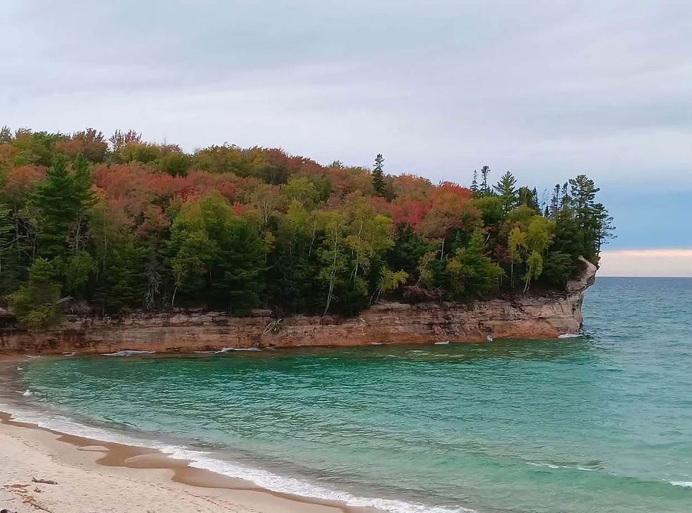 Thumbnail: Foraging + Fall Colors Walk 10/10/26 8am