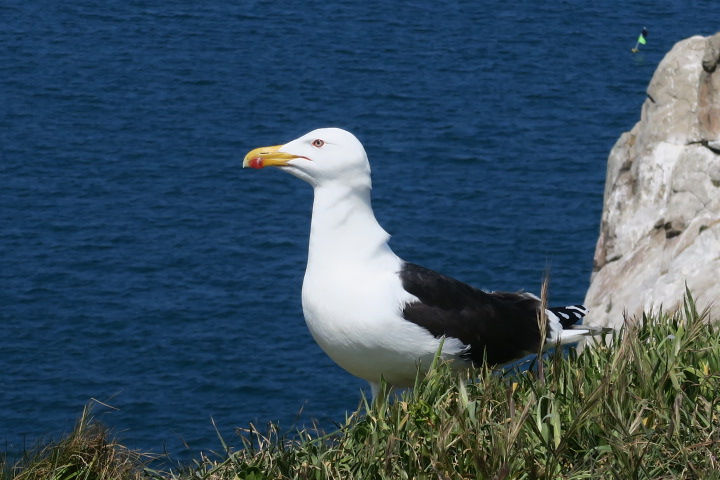 CÉZEMBRECÉZEMBREIMG_5590