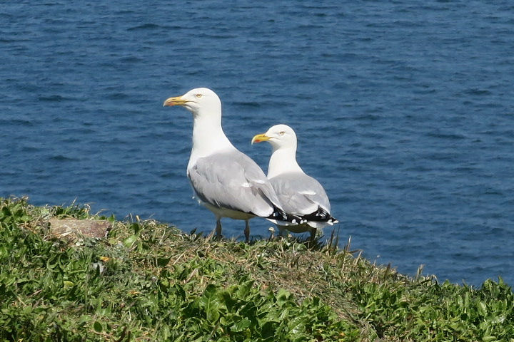 CÉZEMBRECÉZEMBREIMG_5558