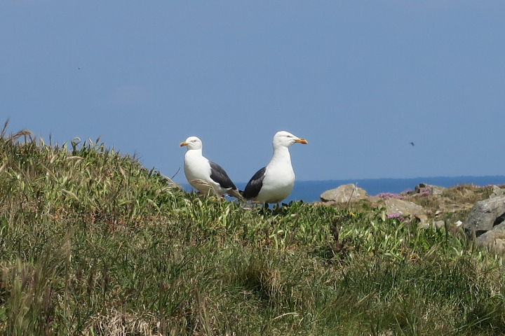 CÉZEMBRECÉZEMBREIMG_5555