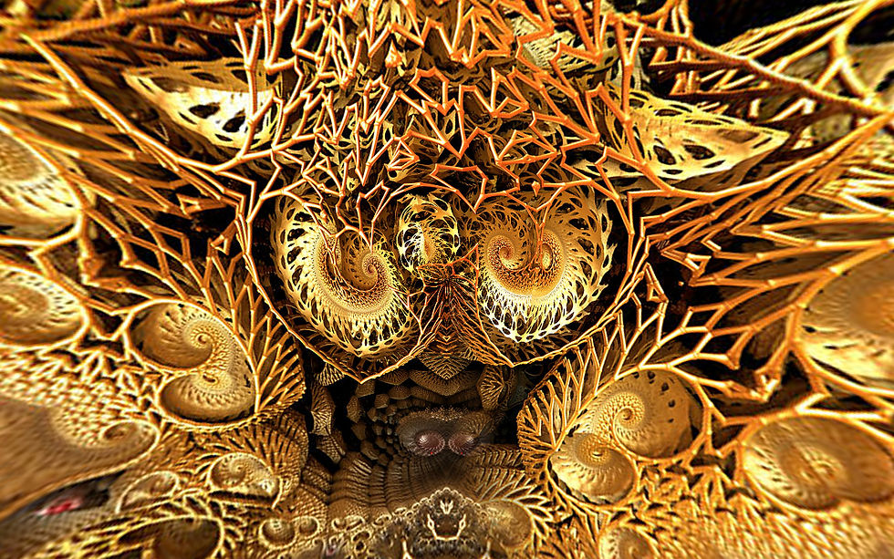 fractal face.jpg