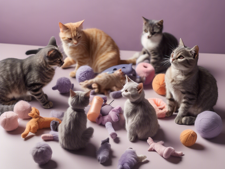Join NYU Cat Owners’ Club: Events, Support & More