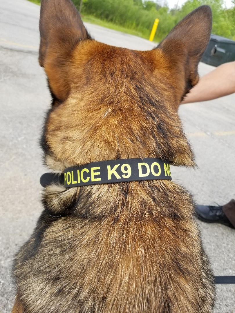 Dog Collar " Police K9 Do Not Pet" SRO Promos
