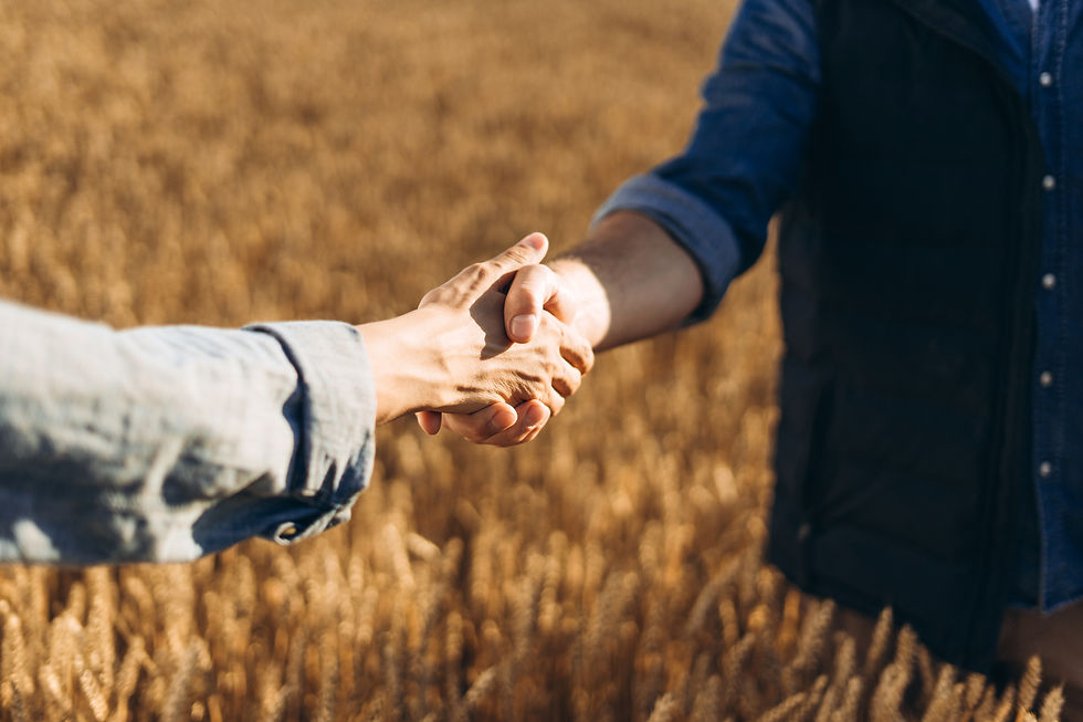farmers-shaking-hands-in-a-wheat-field-making-a-d-2025-09-08-12-44-26-utc.jpg