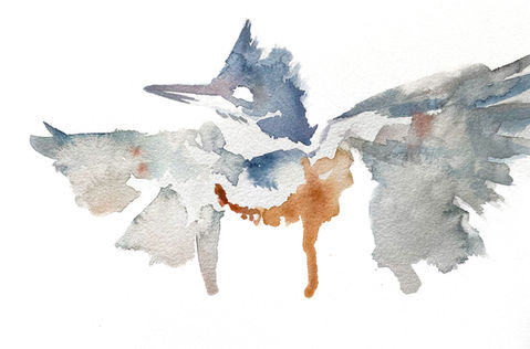 watercolor sketch painting of a kingfisher bird with its wings open on a white background