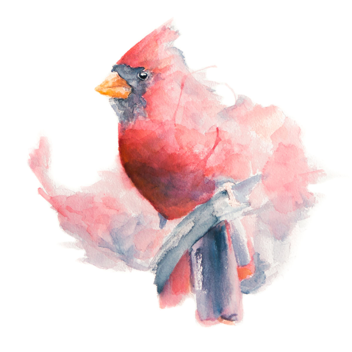 "Splash of Red" Metal Print