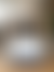 How to Scale Your Wholesale Brand on OrangeShine: The Growth Roadmap